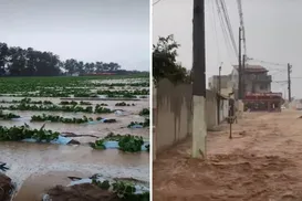 Temporal alaga plantação de melão e inunda casas na Bahia - Imagem