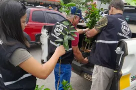 Última chance! Bahia estende inscrições para concurso com 200 vagas - Imagem