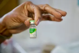 Vacina contra HPV: mutirão imuniza crianças e adolescentes em Salvador - Imagem