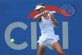 Vilão? Camarão é apontado como causa de intoxicação em torneio de tênis - Imagem