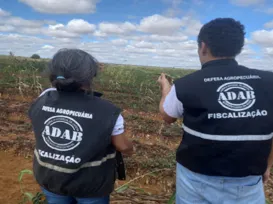 Governo da Bahia reabre concurso com 200 vagas; veja como se inscrever - Imagem