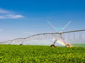 Guerra no Oriente Médio: frete da soja sobe 21% na Bahia e ameaça colheita - Imagem