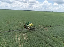 Onde comprar terra? Os 10 estados que são tendência rural em 2026 - Imagem