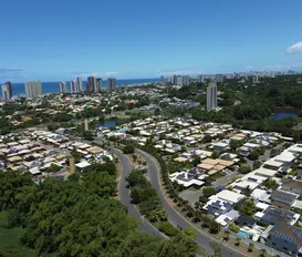 Editorial - Verde desigual - Imagem