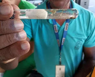 Bahia cria regras para acesso a imóveis no combate à dengue, zika e chikungunya