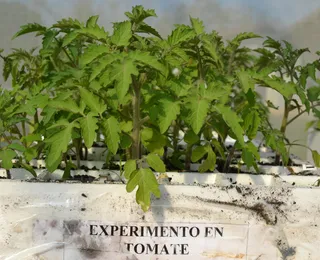 Bioinsumos, o caminho brasileiro para segurança tecnológica