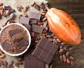 Cadeia cacau–chocolate–floresta. Quem está pagando a conta?