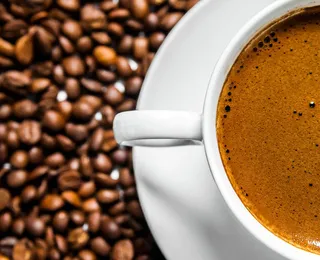 Café mais caro do Brasil é produzido com fezes de pássaro