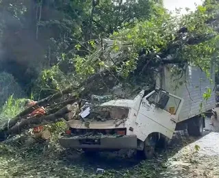 Caminhão é atingido por árvore e duas pessoas morrem no interior da Bahia