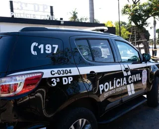 Dois cachorros são encontrados decapitados e mutilados