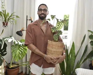 Florestas particulares: conheça o poder terapêutico de ter a casa cheia de plantas