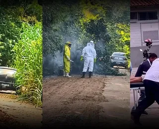 Homem morre após ser atacado por enxame de abelhas