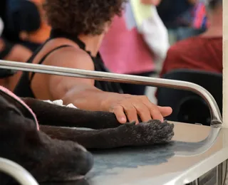 Hospital Veterinário público de Salvador é referência