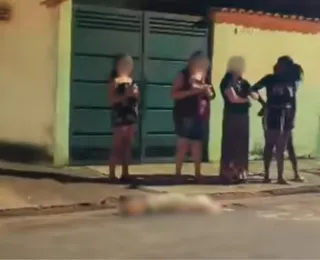 Idoso é atacado por pit bull e tutor mata cão a facadas