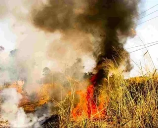 Idoso morre queimado ao tentar controlar incêndio em mata na Bahia