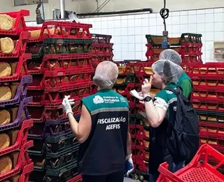 Infestação de baratas fecha fábrica de pães e multa pode chegar a R$ 24 mil