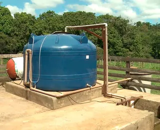 Jovens produtores incluem biogás na gestão do setor