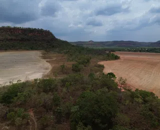 Matopiba: a fronteira que virou potência agrícola