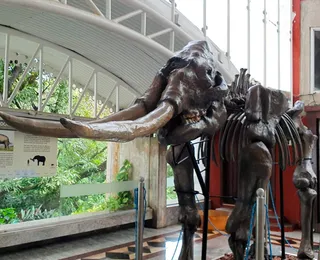 Museu ganha viagem no céus no Dia da Terra