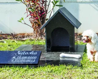 Nova lei pode permitir que pets sejam sepultados junto aos tutores