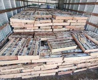Nove toneladas de peixe são apreendidas em operação na Bahia