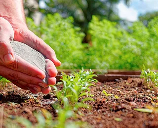 O futuro do agro depende do que o cidadão  pensa de quem produz