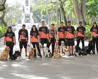 O que acontece com seu cachorro quando ele passeia todos os dias pode surpreender