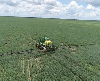 Onde comprar terra? Os 10 estados que são tendência rural em 2026