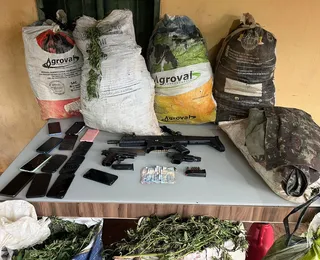 Operação erradica 200 mil pés de maconha e apreende três toneladas na Bahia