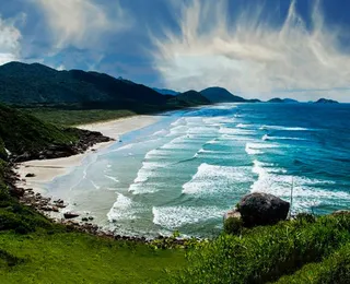 Paraíso escondido no Brasil permite nado com botos raros