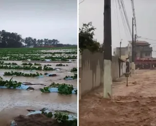 Temporal alaga plantação de melão e inunda casas na Bahia
