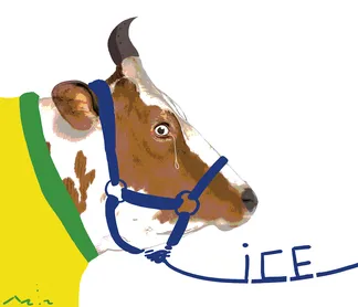 Charge do dia 14/04/2026