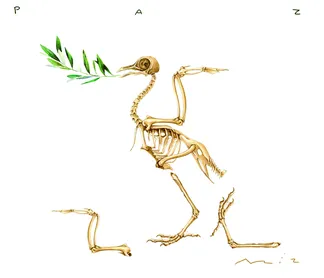 Charge do dia 19/03/2026