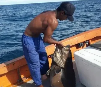 Pescador é achado morto na BA após desaparecer durante viagem de barco