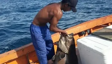 Pescador é achado morto na BA após desaparecer durante viagem de barco