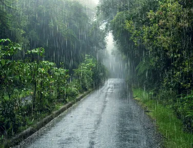 25 cidades da Bahia recebem alerta de chuvas intensas no feriadão - Imagem