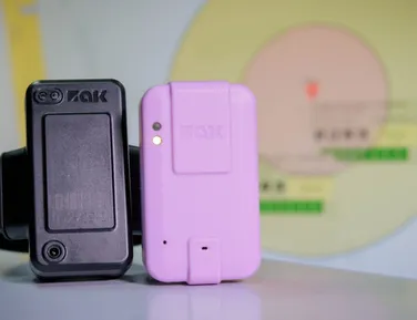 Agressor de mulher pode passar a usar tornozeleira eletrônica rosa - Imagem