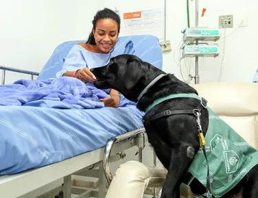 Animais estão liberados para visitar tutores em hospitais de Salvador - Imagem