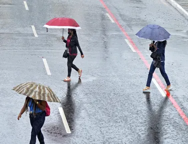 Bahia entra em alerta para chuvas e ventos fortes; veja áreas atingidas - Imagem