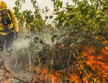 Brasil na rota do “Super El Niño”: calor extremo e  seca preocupam - Imagem