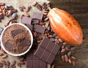 Cadeia cacau–chocolate–floresta. Quem está pagando a conta? - Imagem