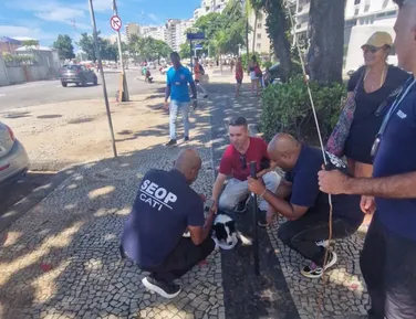 Cadela é resgatada após passar três dias presa dentro de carro - Imagem