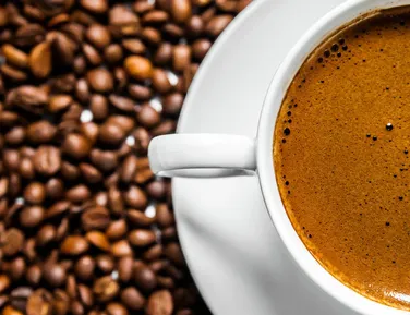 Café mais caro do Brasil é produzido com fezes de pássaro - Imagem