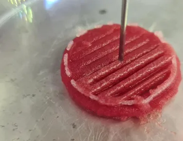 Carne nova no pedaço? Proteína de laboratório cresce e mira mercado na Bahia - Imagem