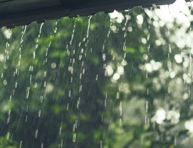 Chuva em cidade da Bahia foi 10 vezes maior em fevereiro - Imagem