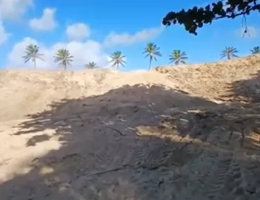 Comunidade denuncia crimes ambientais e avanço de máquinas - Imagem