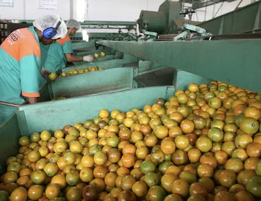 Crise da laranja acende alerta e é debatida em audiência pública na Alba - Imagem