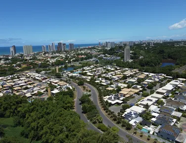 Editorial - Verde desigual - Imagem