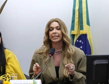 Erika Hilton é eleita presidente da Comissão da Mulher na Câmara Federal - Imagem