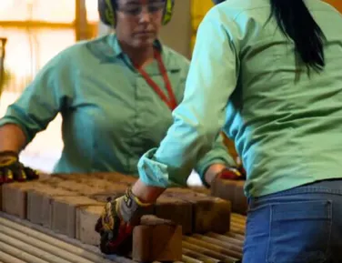 Fim da escala 6x1: Leo Prates defende jornada de 40 horas e limite de 5 dias de trabalho - Imagem